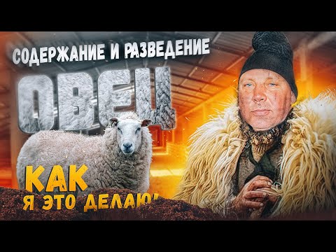 Видео: Разведение овец в домашних условиях: катумы+романовские. "Мое Подворье"