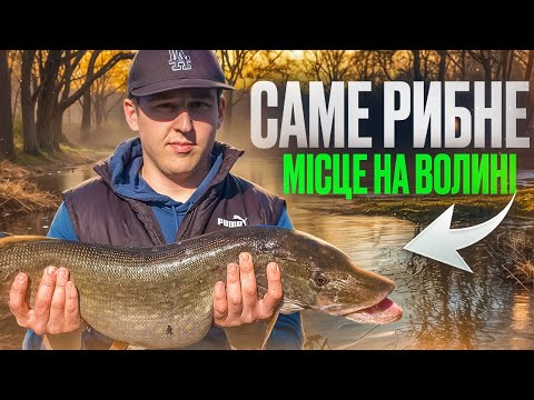 Видео: Хата рибака в Малинівці | Саме рибне місце на Волині | Сезон 2025 відкрито