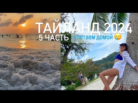 Видео: тайланд Пхукет январь 2024 | 5 часть | улетаем домой| Икар