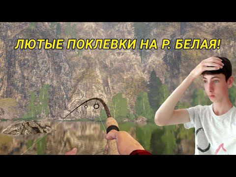 Видео: ЛЮТЫЕ ПОКЛЕВКИ НА РЕЧЕКЕ БЕЛАЯ! НЕ УСПЕВАЮ ДОСТАВАТЬ РЫБУ!