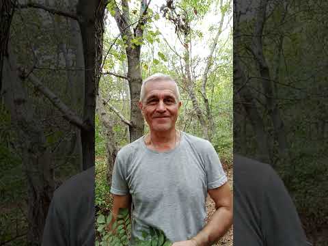 Видео: По следам "Золотой Бабы". Есть ли выход из патовой планетарной ситуации? 