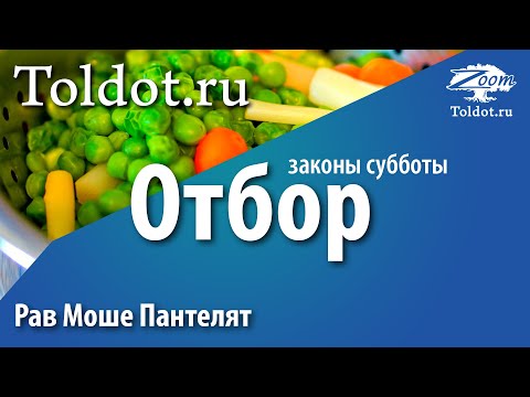 Видео: Законы Субботы. Отбор [борер]. Рав Моше Пантелят