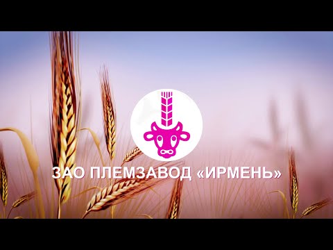 Видео: ЗАО Племзавод "ИРМЕНЬ", весна 2022г.