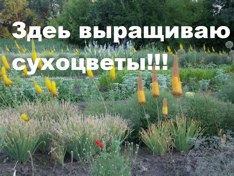 Видео: Мой идеальный участок при тяжелых погодных условиях!!