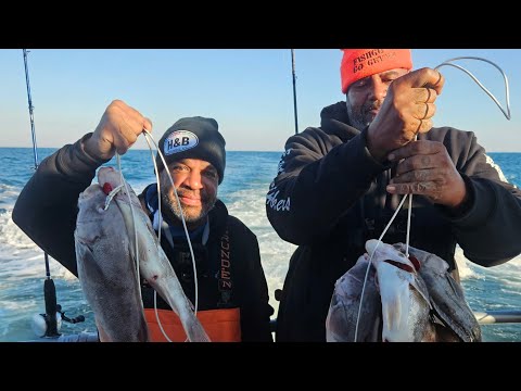 Видео: BLACKFISH POOL на 2500 долларов и УГАДАЙТЕ, КТО ВЫИГРАЛ? 11.08.25