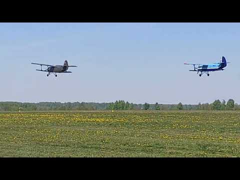 Видео: Полёты Ан-2 в Алферьево 13.05.2023 года