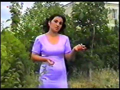 Видео: гр Звезда - Чан гада (2001)