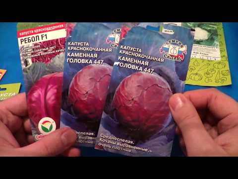 Видео: Капуста - виды и сорта 2020