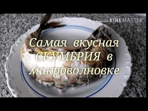 Видео: Самая вкусная СКУМБРИЯ в микроволновке