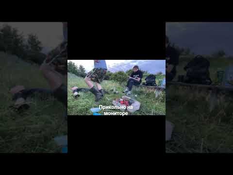 Видео: #sasavot #рыбалканадонки залети по братски