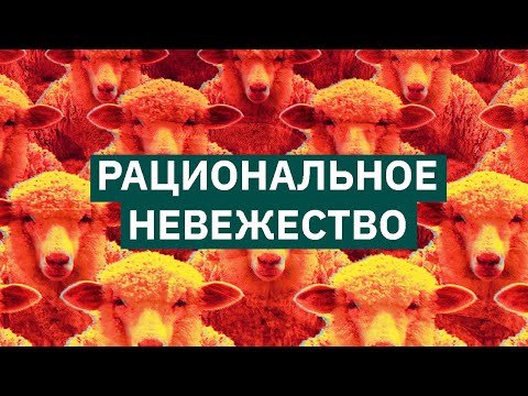Видео: Дефекты демократии - рациональное невежество | Михаил Пожарский