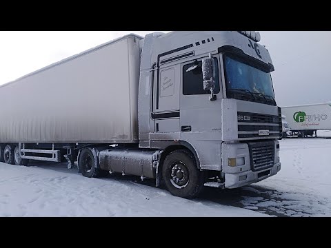 Видео: Черный ДАФ"Черныш"пришёл на помощь"СЕРОМУ".Дальнобой готовит"Черныша"в рейс.Запуск рефа CARRIER.