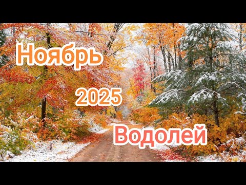 Видео: ВОДОЛЕЙ ♒ НОЯБРЬ 2025✨ Тароскоп✨