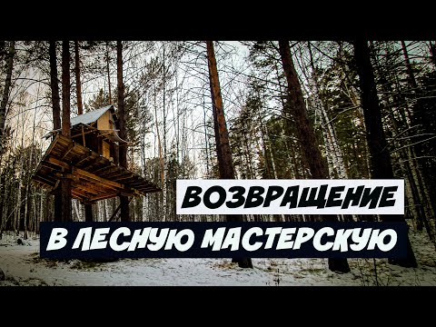 Видео: ВОЗВРАЩЕНИЕ В ЛЕСНУЮ МАСТЕРСКУЮ / ДОМИК НА ДЕРЕВЕ