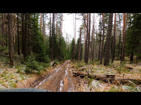 Видео: Сказочный маршрут на УАЗ Патриот разной степени подготовки