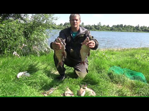 Видео: САМ НЕ ВЕРИЛ-ПОКА ТАКОЕ НЕ НАЧАЛОСЬ! Ловля ЛЕЩА на ДОНКИ! Рыбалка на Оке 2021!