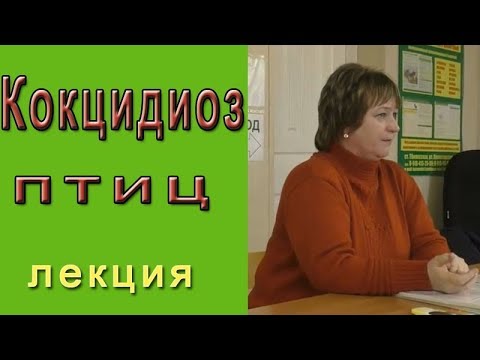 Видео: Кокцидиоз или эймериоз что это, как лечить?