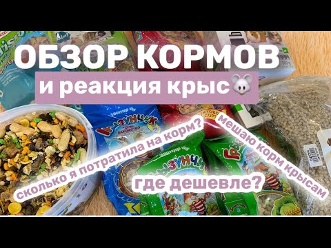 Видео: ОБЗОР ГРАНУЛИРОВАННЫХ КОРМОВ ДЛЯ КРЫС С ЦЕНАМИ И РЕАКЦИЕЙ КРЫС🐭