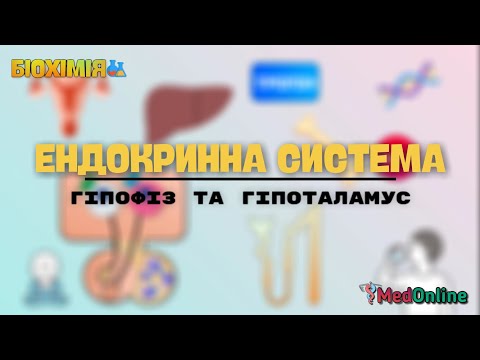 Видео: Біохімія Гормонів | Гіпоталамус та Гіпофіз