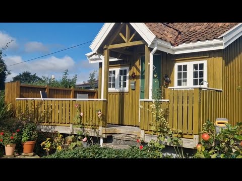 Видео: Норвежские дачи🇧🇻Какие растения выращивают📌Всё для комфорта📌#familyfromodessa