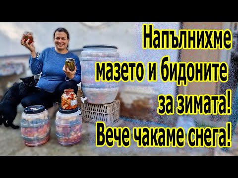 Видео: #Рецепта за #ЦарскаТуршия, #КиселиКраставички и #Камби| Живот на село с Дидо и Кали