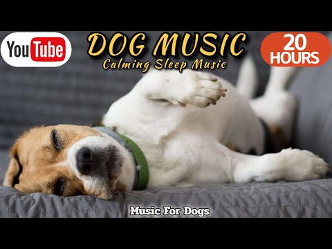 Видео: 20 ЧАСОВ Успокаивающей Музыки для Собак 🐶💖 Облегчение Тревоги Разлуки 🦮🎵 ⭐ Healingmate