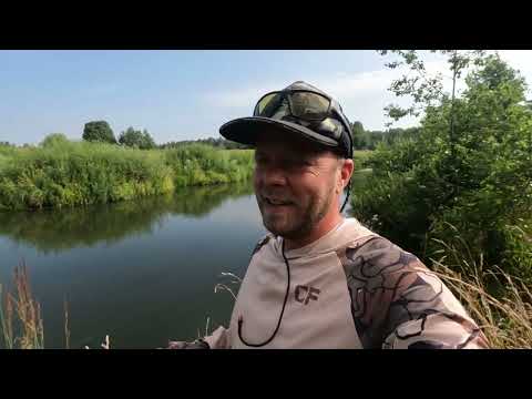 Видео: Даже на МОРМО нужно ПОИСКАТЬ! Рыбалка на СПИННИНГ летом! Мормышинг на Малой реке!
