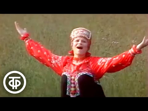 Видео: Людмила Рюмина "Ах, ты, степь широкая" (1989)