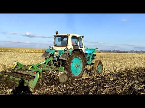 Видео: ЮМЗ 6 як ПАПАЙ Що робити із кукурузою Дискуємо залишки кукурузи Дискова борона ДАН 2.1