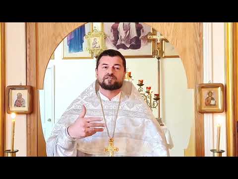 Видео: Единство всех или любовь в разных лодках  (к 1700-летию 1ВС)