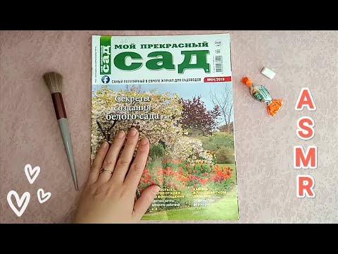 Видео: ASMR magazine & brush / АСМР журнал и кисть / шёпот