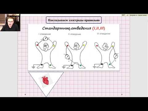 Видео: Лекция основы ЭКГ.