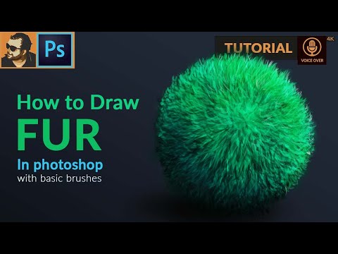 Видео: Как рисовать мех в Adobe Photoshop | Урок