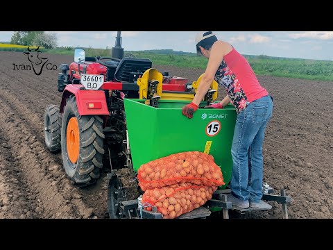 Видео: Фрезування, маркування та садіння картоплі трактором Shifeng SF-354.