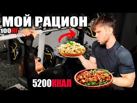 Видео: СКОЛЬКО КАЛОРИЙ Я РЕАЛЬНО ЕМ ЗА ДЕНЬ?