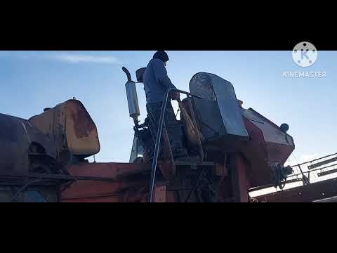 Видео: Жизнь в селе#Казахстан#Уборка подходит к концу.
