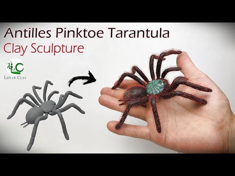 Видео: Скульптура Антильских островов / Мартиники. Розовый тарантул _ Скульптура тарантула _ Полимерная ...