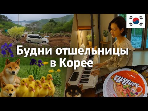 Видео: Корейские будни отшельницы в горах / KOREA VLOG