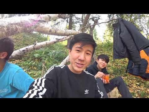 Видео: 24 сағат Орманда выживание