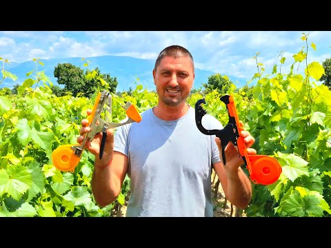 Видео: Инструмент для подвязки лозы – 2 модели + замена ленты (субтитры: русский)