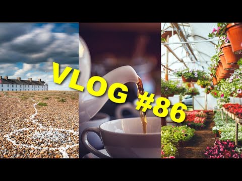 Видео: Секретный пляж, садовый центр и самодельный чай.