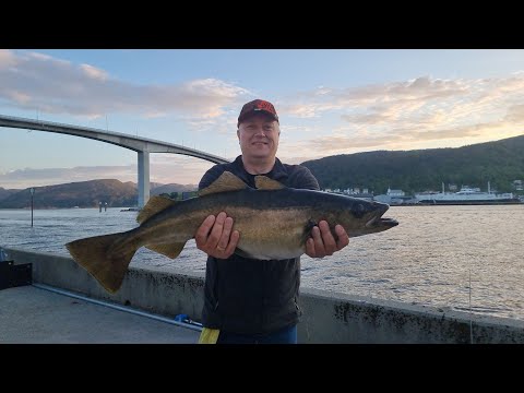 Видео: Вот это рыбалка.  Ели вытянули улов.
