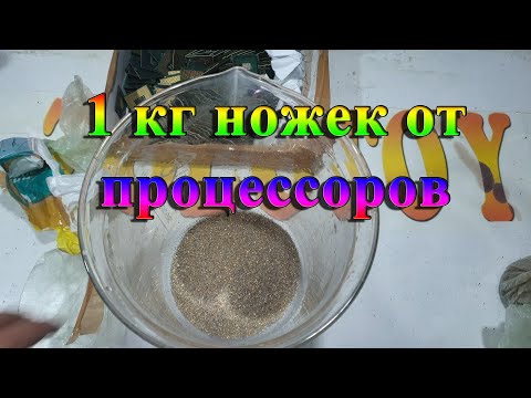 Видео: 1 кг ножек от процессоров