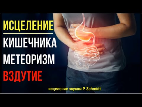Видео: Квантовое Исцеление Кишечника💥Вздутие (МЕТЕОРИЗМ)💥Исцеление звуком