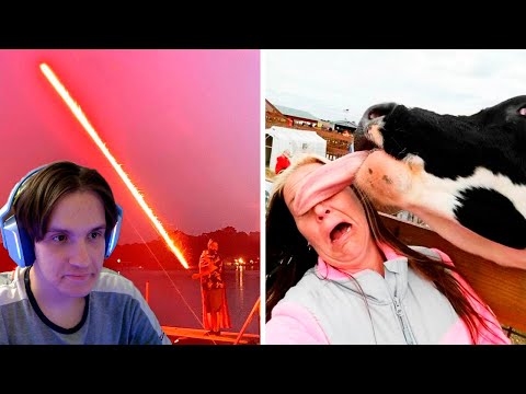 Видео: Неповторимые фото, сделанные не специально ( Фактория ) Реакция