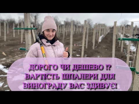 Видео: Скільки коштує виноградна шпалера? Реальні цифри!