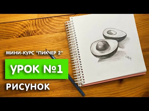 Видео: Мини курс "Пикчер 2" | Урок №1. Рисунок | Авокадо в разрезе