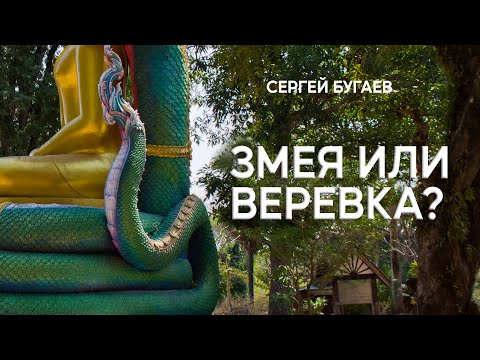 Видео: Змея или веревка? Три этапа восприятия реальности