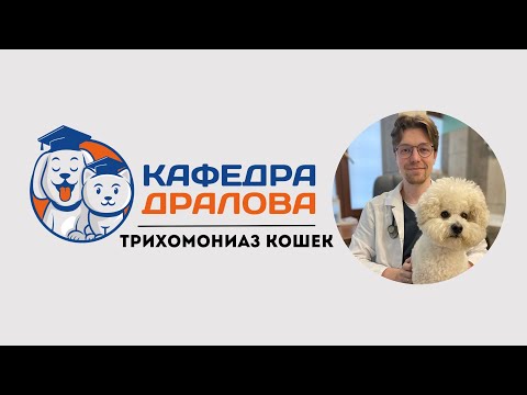 Видео: Трихомониаз кошек: простая болезнь, осложненная нюансами диагностики и лечения