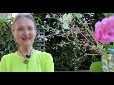 Видео: Нужны ли Вы Ему? Его Планы на Вас. Мысли и Чувства Мужчины а сегодня 🌹Колена Таро